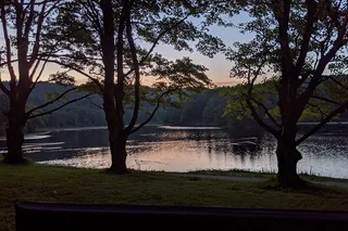 Blowing Rock Horse and Carriage Ride