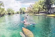 Crystal River Clear Kayak Manatee Eco Tour thumbnail 1