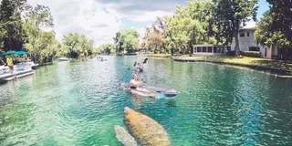 Crystal River Clear Kayak Manatee Eco Tour