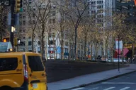 New York Downtown Highlights Tour Half Day thumbnail 4