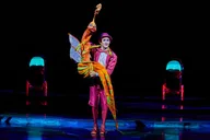 Las Vegas Mystère Show by Cirque du Soleil thumbnail 2