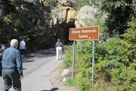 Rapid City Mount Rushmore and Black Hills Bus Tour thumbnail 6
