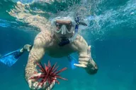 Maui Surf Safari with Equipment and Snacks thumbnail 5
