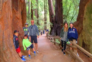 San Francisco Muir Woods and Wine Country Private Tour