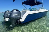 Destin Snorkeling and Dolphin Cruise thumbnail 1