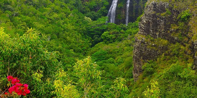 Kauai Highlights and Movie Sites Tour - Image 2