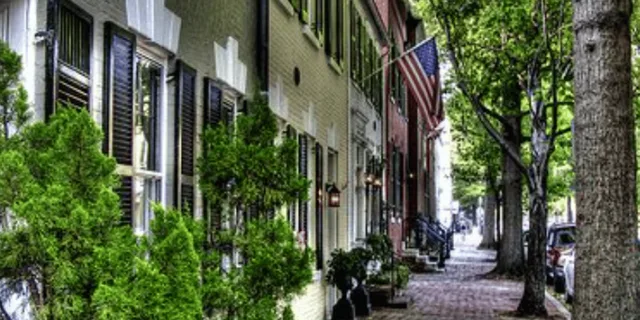 Washington DC Mount Vernon & Old Town Alexandria Tour - Image 5
