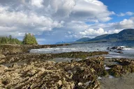Ketchikan Private Tour thumbnail 6