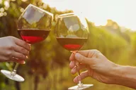 Tucson Wine Tour in Elgin 6 hr thumbnail 1