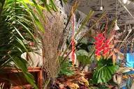 New York Flower Tour thumbnail 6