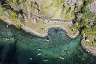 Kings Bay Eco Tour thumbnail 4