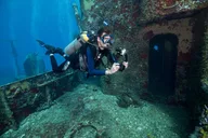 Miami Guided 2-Tank Scuba Diving thumbnail 5