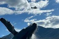 Juneau Rainforest Hike and City Tour thumbnail 3
