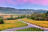 Napa Valley Private Custom Wine Tour thumbnail 2