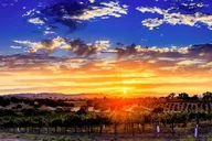 Paso Robles Private Flight Experience thumbnail 4