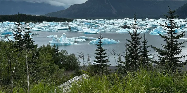 Seward Helicopter Tour Over Harding Icefield - Image 3