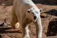 Memphis Zoo Entry Ticket thumbnail 4