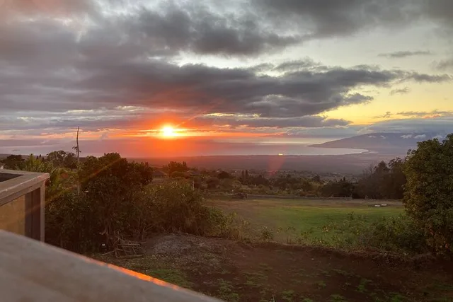 Maui Paint and Sip at Maui Bird House 1 hr - Image 2