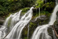 Asheville Waterfalls Hike 4 hr thumbnail 1