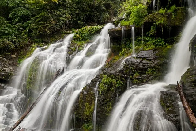 Asheville Waterfalls Hike 4 hr - Image 1