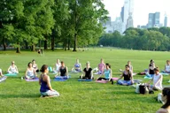 New York Central Park Yoga Class thumbnail 1