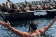 Redondo Beach Kayak and Snorkel with Sea Lions 3 hr thumbnail 5