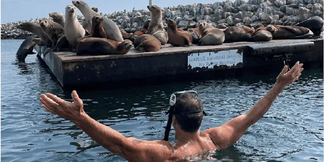 Redondo Beach Kayak and Snorkel with Sea Lions 3 hr - Image 5