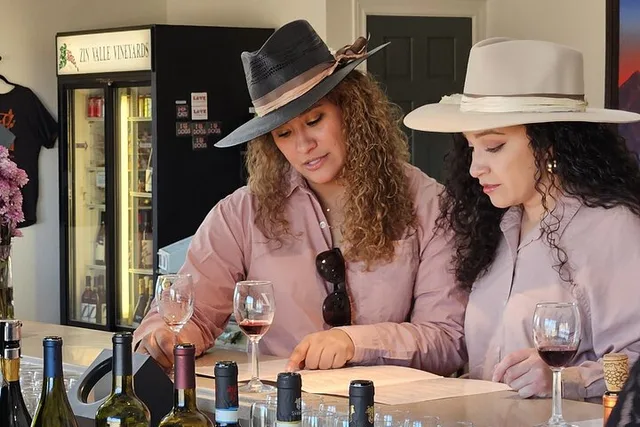 Las Cruces Wine Shuttle - Image 5