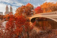 New York Central Park Scavenger Hunt thumbnail 5