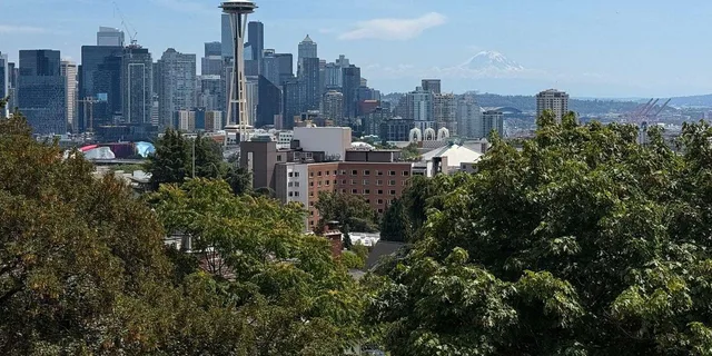 Seattle City Highlights Tour - Image 2