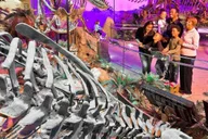 Indianapolis Attraction Pass 3-Day thumbnail 1