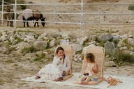 Southern California Brunch with Mini Rescue Burros thumbnail 4