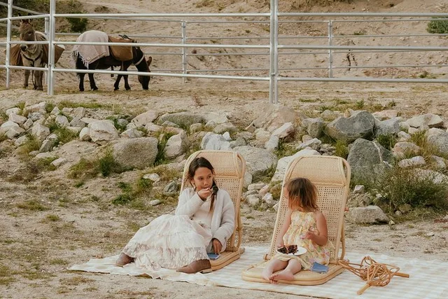 Southern California Brunch with Mini Rescue Burros - Image 4