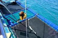 Oahu Catamaran Snorkel Tour with Turtle Sighting 2 hr thumbnail 5
