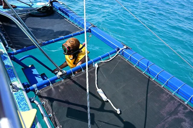 Oahu Catamaran Snorkel Tour with Turtle Sighting 2 hr - Image 5