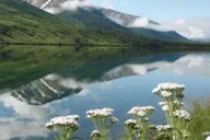 Anchorage Northern Lights Tour thumbnail 5