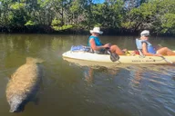 Lovers Key Eco Tour thumbnail 3