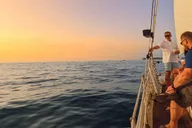 Key West Windjammer Champagne Sunset Sail thumbnail 1