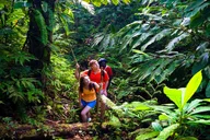 Hana Waterfall and Chocolate Tour thumbnail 6