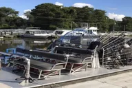 New Orleans Airboat or Pontoon Boat Cruise thumbnail 2