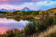 Jackson Wildlife Adventure in Yellowstone and Grand Teton 4-Day thumbnail 5