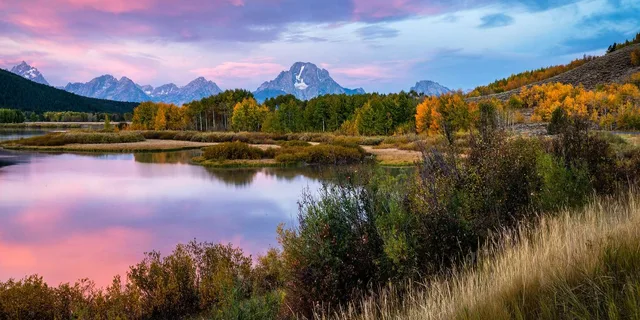 Jackson Wildlife Adventure in Yellowstone and Grand Teton 4-Day - Image 5