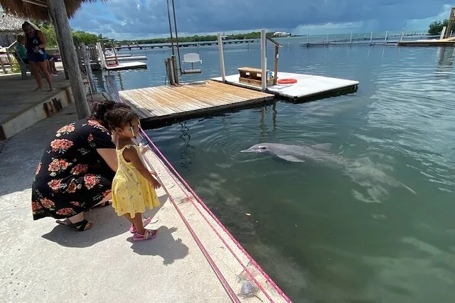 Florida Keys Private Tour Key Largo to Key West 8 hr - Image 4