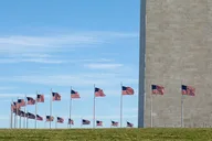 Washington DC Mount Vernon Walking Tour with Transportation thumbnail 5