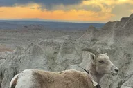 Rapid City Badlands Sunset and Night Sky Tour thumbnail 3