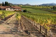 San Francisco Napa Valley Private Tour thumbnail 4