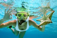 Key Largo Fish & Snorkel Tour 4 hr thumbnail 4