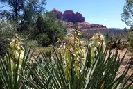 Sedona Vortex Tour thumbnail 1