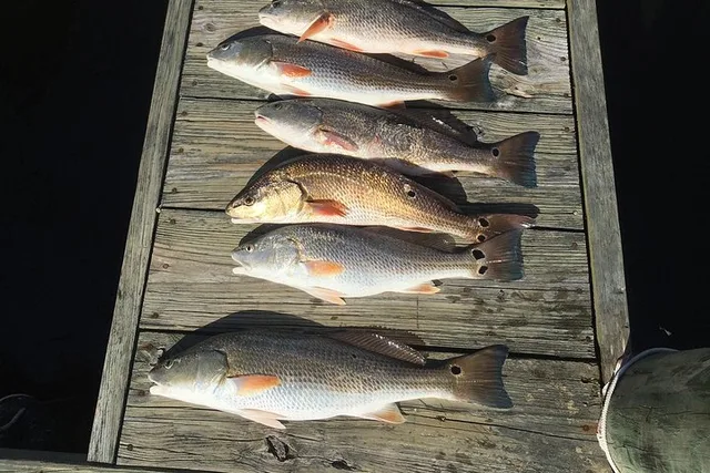 Wrightsville Beach Neuse River Fishing Tour - Image 5