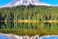 Seattle Mount Rainier National Park Day Tour thumbnail 1